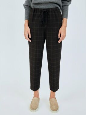 Aritzia Babaton Jimmy Pant